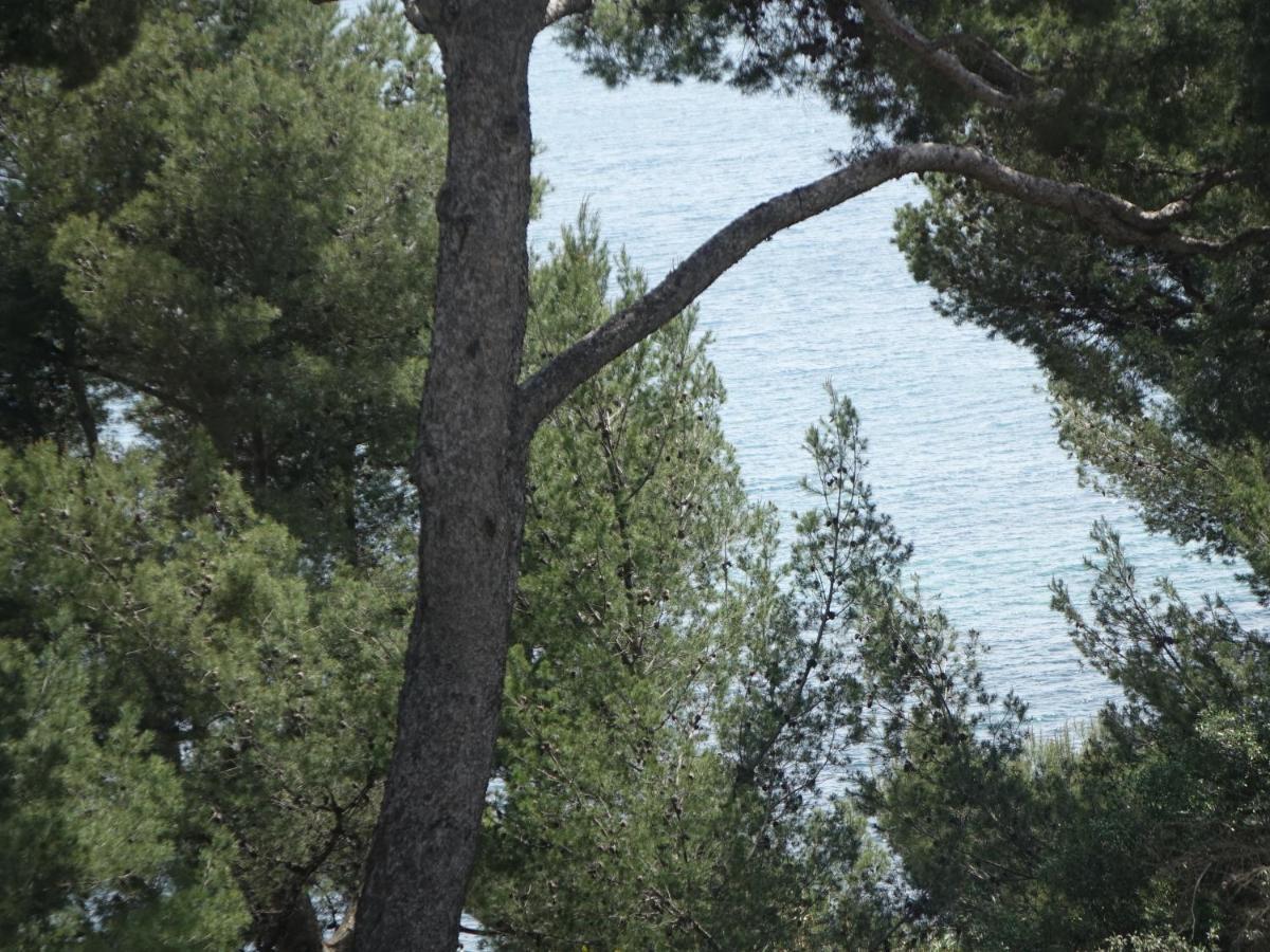 Residence Alouettes Hyères Eksteriør bilde